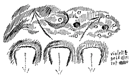 291-20