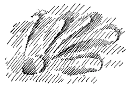 291-21