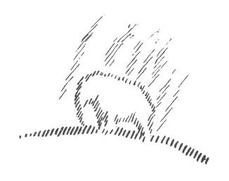 graphic0201s