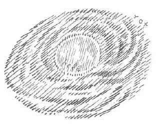 235-02