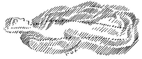 236-09