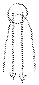 236-11