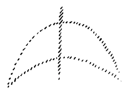 236-13