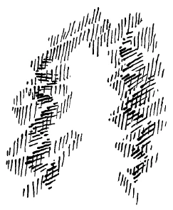236-15
