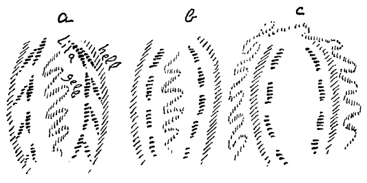 236-23
