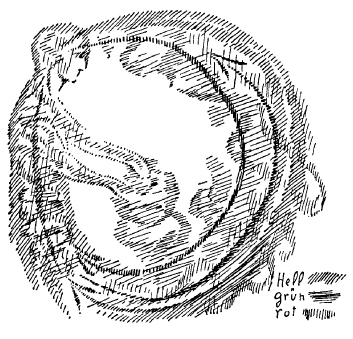 239-06