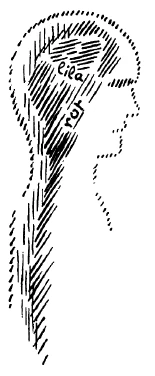 243-12