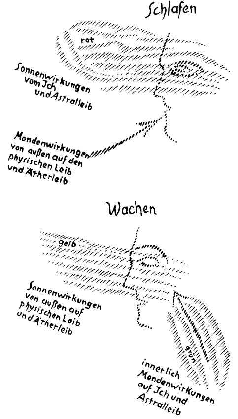 243-13