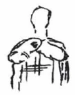 246-19