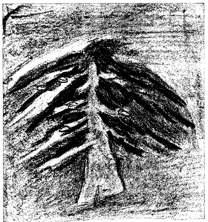 311-26