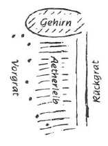 266-101