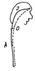 267-29