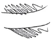 267-11