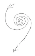 268-06