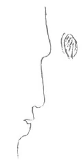 268-11