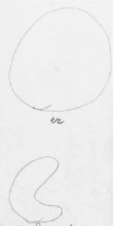 277a-28