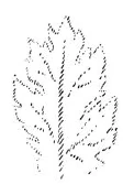 286-01
