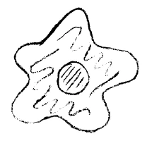 293-13