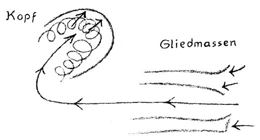 293-17