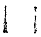 294-09