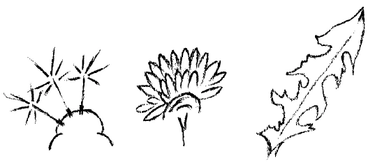 295-12