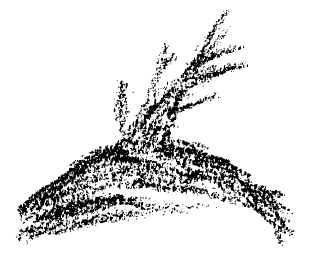 307-07