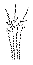 313-09