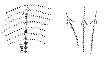 313-19