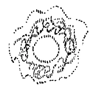 313-21