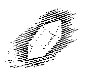 pol2a