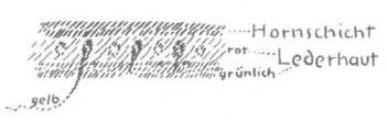 348-13