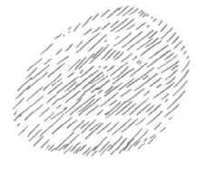 348-19