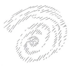 348-20