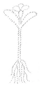 348-31