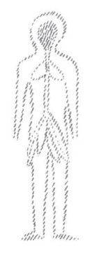 348-41