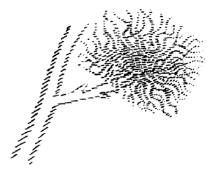 351-11