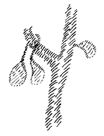 351-13