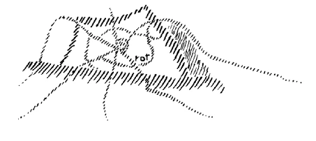 351-16