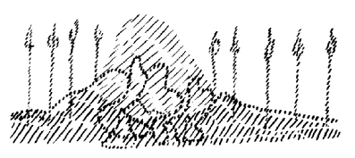 351-17