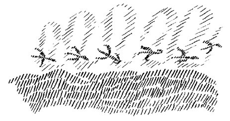351-20