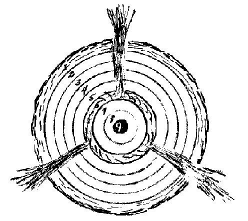 Esoteric_Cosmology1