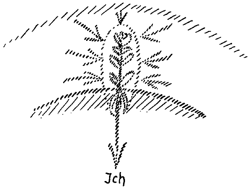 98-II-02-6