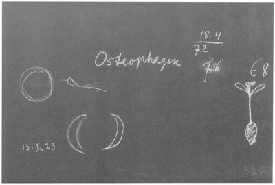 Blackboard drawing, plate 17