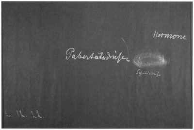 Blackboard drawing, plate 5