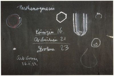 Blackboard drawing, plate 12