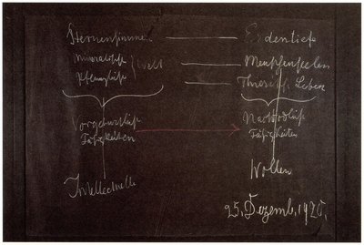 Blackboard drawing, plate 21